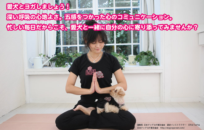 DOG☆YOGA